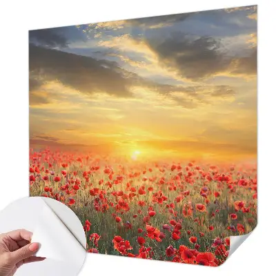 Selbstklebende Fototapete für die Wand mit Motiv eines Mohnfelds