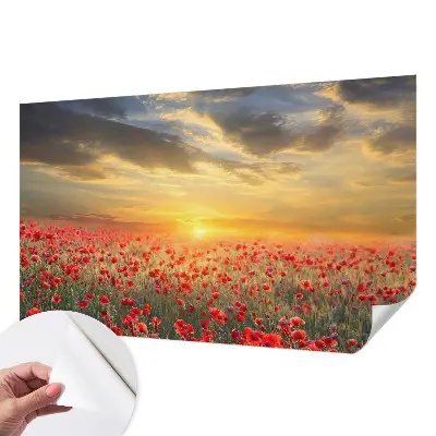Selbstklebende Fototapete für die Wand mit Motiv eines Mohnfelds