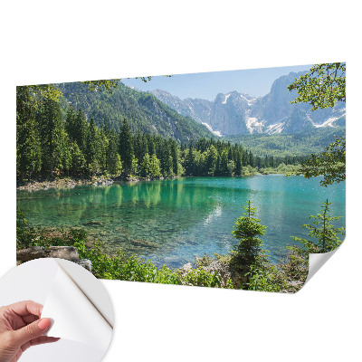 Selbstklebende Fototapete fürs Kinderzimmer Grüner See