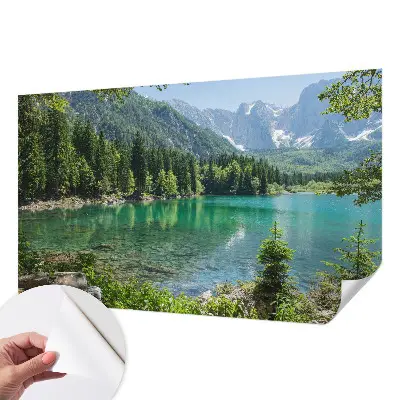 Selbstklebende Fototapete fürs Kinderzimmer mit Motiv eines grünen Sees