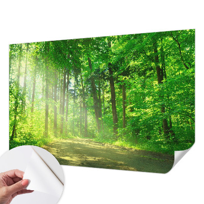 Selbstklebende Fototapete fürs Wohnzimmer mit Motiv eines Waldwegs