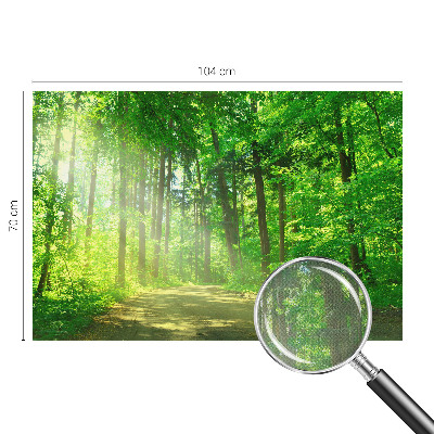 Selbstklebende Fototapete fürs Wohnzimmer Waldweg