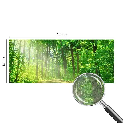 Selbstklebende Fototapete fürs Wohnzimmer mit Motiv eines Waldwegs
