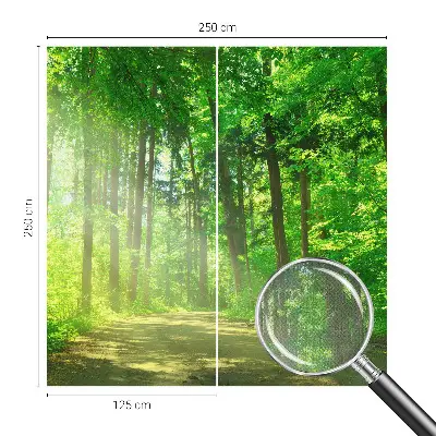 Selbstklebende Fototapete fürs Wohnzimmer mit Motiv eines Waldwegs