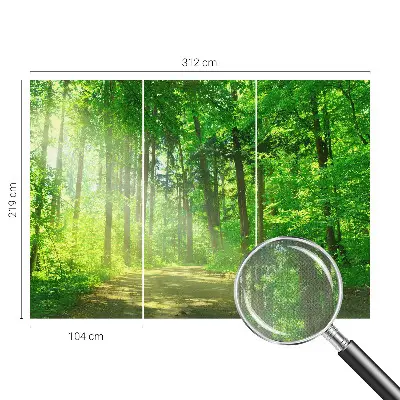 Selbstklebende Fototapete fürs Wohnzimmer mit Motiv eines Waldwegs