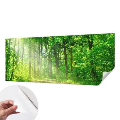 Selbstklebende Fototapete fürs Wohnzimmer mit Motiv eines Waldwegs