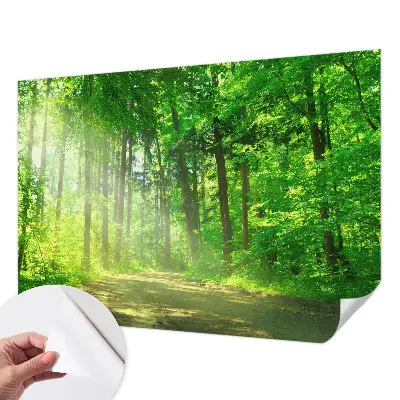 Selbstklebende Fototapete fürs Wohnzimmer mit Motiv eines Waldwegs