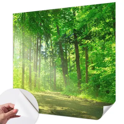 Selbstklebende Fototapete fürs Wohnzimmer mit Motiv eines Waldwegs