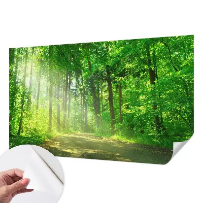 Selbstklebende Fototapete fürs Wohnzimmer mit Motiv eines Waldwegs