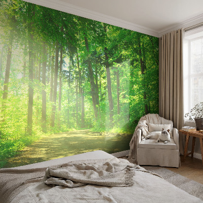 Selbstklebende Fototapete fürs Wohnzimmer Waldweg
