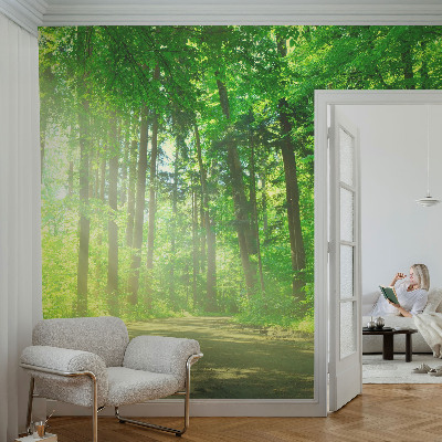 Selbstklebende Fototapete fürs Wohnzimmer Waldweg