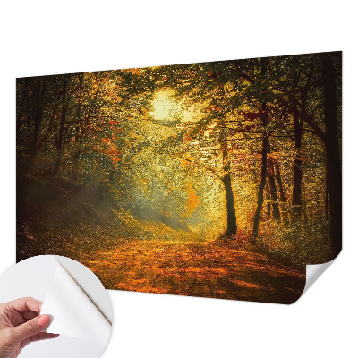 5D-Fototapete mit einer Herbstlandschaft