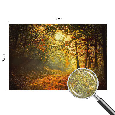 5D-Fototapete mit einer Herbstlandschaft