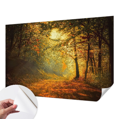 5D-Fototapete mit einer Herbstlandschaft