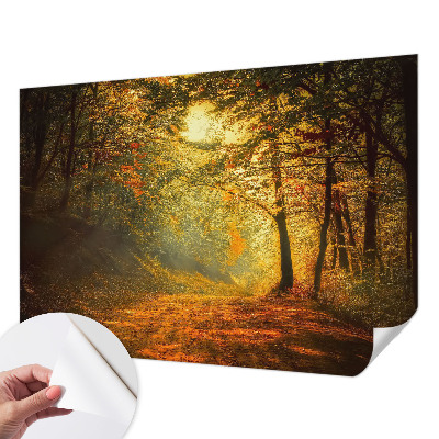 5D-Fototapete mit einer Herbstlandschaft