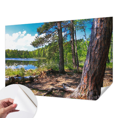 5D-Fototapete fürs Schlafzimmer mit einer Waldlandschaft als Motiv