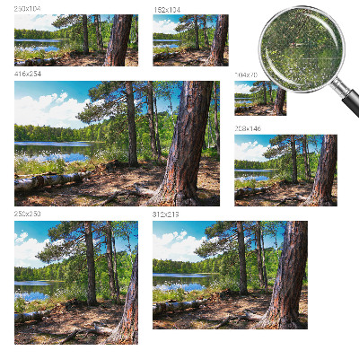 5D-Fototapete fürs Schlafzimmer Waldlandschaft