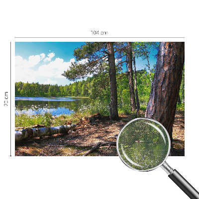 5D-Fototapete fürs Schlafzimmer mit einer Waldlandschaft als Motiv