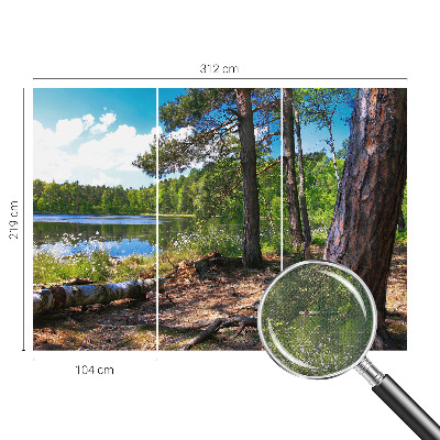 5D-Fototapete fürs Schlafzimmer mit einer Waldlandschaft als Motiv