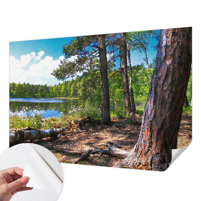 5D-Fototapete fürs Schlafzimmer mit einer Waldlandschaft als Motiv