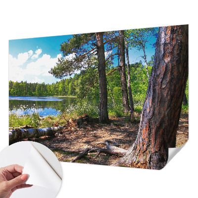 5D-Fototapete fürs Schlafzimmer mit einer Waldlandschaft als Motiv