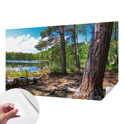 5D-Fototapete fürs Schlafzimmer mit einer Waldlandschaft als Motiv