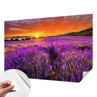 Fototapete nach Maß mit Motiv eines Lavendel-Sonnenuntergangs