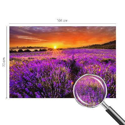 Fototapete nach Maß mit Motiv eines Lavendel-Sonnenuntergangs