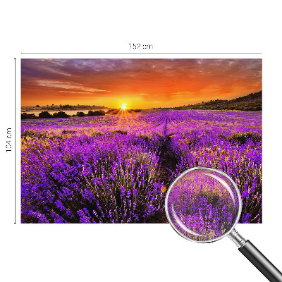 Fototapete nach Maß mit Motiv eines Lavendel-Sonnenuntergangs
