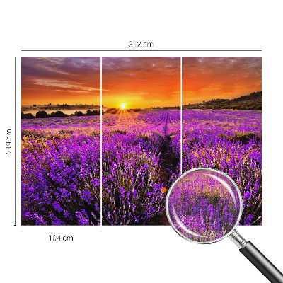 Fototapete nach Maß mit Motiv eines Lavendel-Sonnenuntergangs