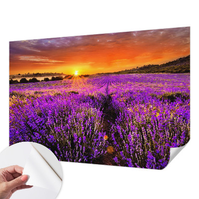 Fototapete nach Maß mit Motiv eines Lavendel-Sonnenuntergangs