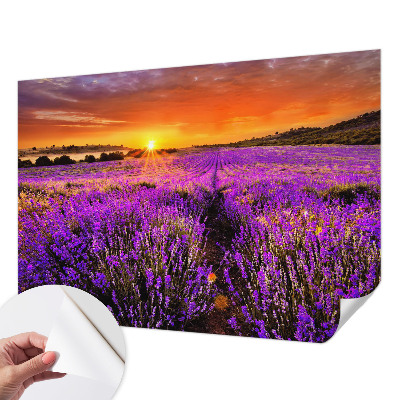 Fototapete nach Maß mit Motiv eines Lavendel-Sonnenuntergangs
