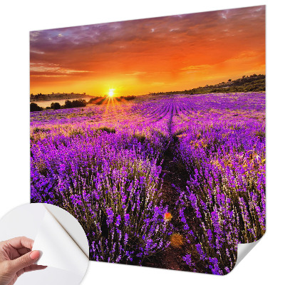 Fototapete nach Maß mit Motiv eines Lavendel-Sonnenuntergangs