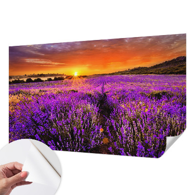 Fototapete nach Maß mit Motiv eines Lavendel-Sonnenuntergangs