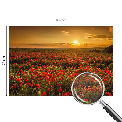 Moderne Fototapete nach Maß Mohnfeld