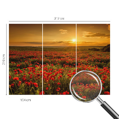 Moderne Fototapete nach Maß Mohnfeld