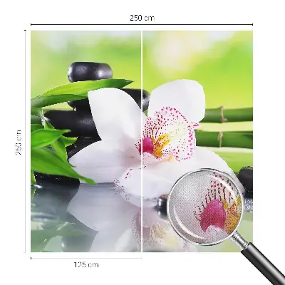 Selbstklebende Fototapete für die Wand mit dem Motiv „Die Ruhe der Natur“