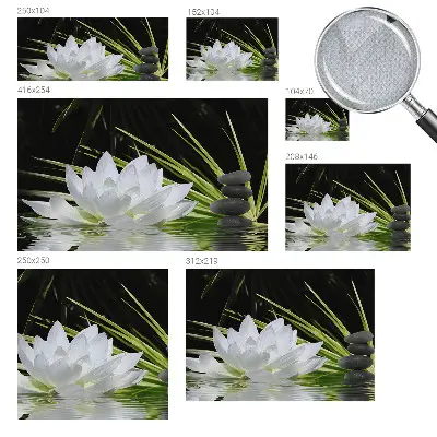 6D-Fototapete mit Motiv „Lilienmeditation“