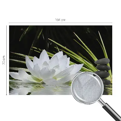 6D-Fototapete mit Motiv „Lilienmeditation“