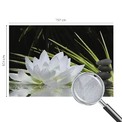 6D-Fototapete mit Motiv „Lilienmeditation“