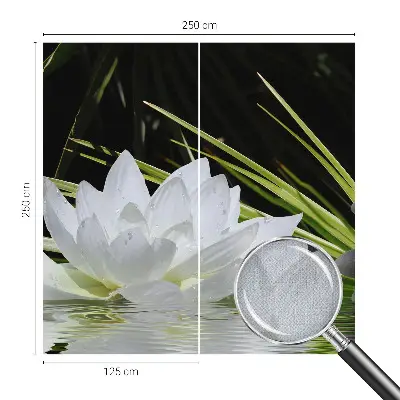 6D-Fototapete mit Motiv „Lilienmeditation“