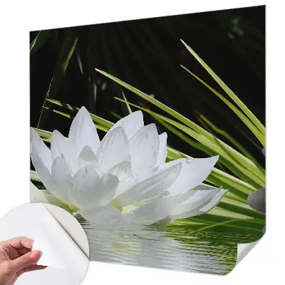 6D-Fototapete mit Motiv „Lilienmeditation“