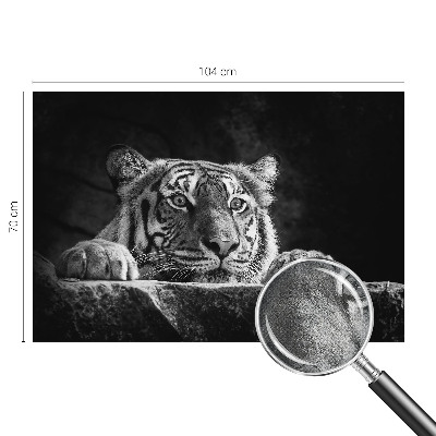 Hochwertige Bildtapete Raubtierblick