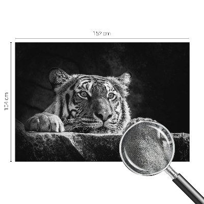 Hochwertige Bildtapete Raubtierblick