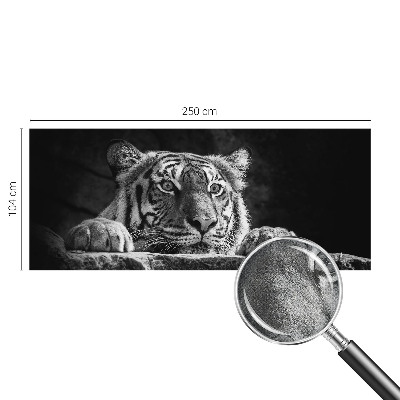 Hochwertige Bildtapete Raubtierblick