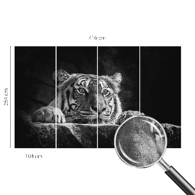 Hochwertige Bildtapete Raubtierblick