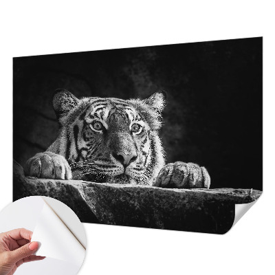 Hochwertige Bildtapete Raubtierblick