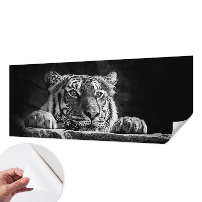 Hochwertige Bildtapete Raubtierblick