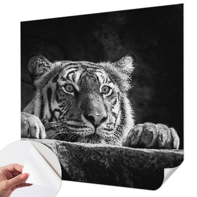 Hochwertige Bildtapete Raubtierblick