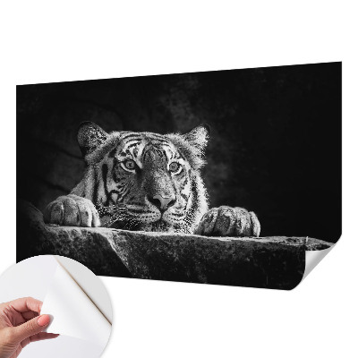 Hochwertige Bildtapete Raubtierblick